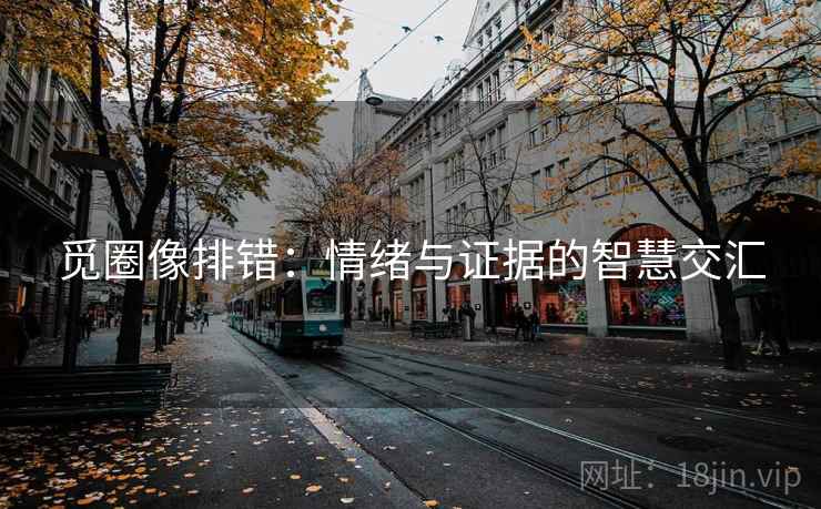 觅圈像排错:情绪与证据的智慧交汇 觅圈像排错:情绪与证据的智慧交汇
