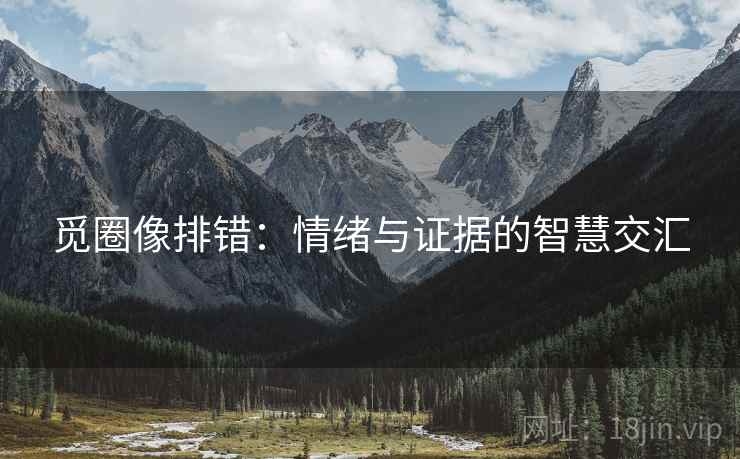 觅圈像排错:情绪与证据的智慧交汇 觅圈像排错:情绪与证据的智慧交汇
