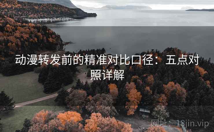 动漫转发前的精准对比口径：五点对照详解